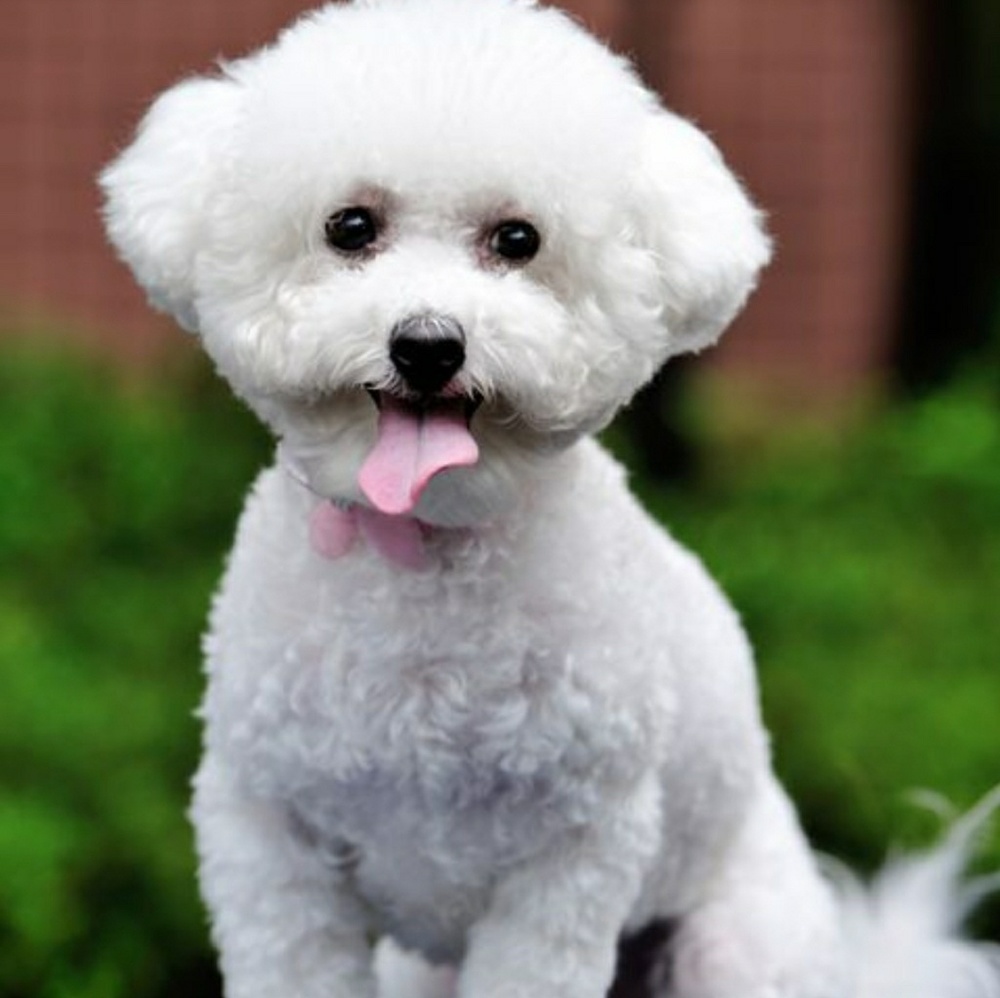 Meet your Posher, Charles